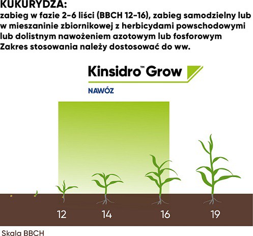 kukurydza wykres 2.1jpg